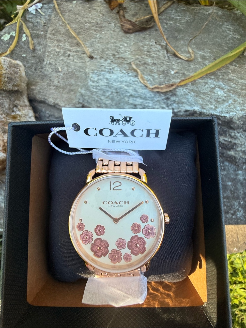 Coach Elliot watch